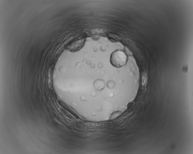 X0000114701011200912021103