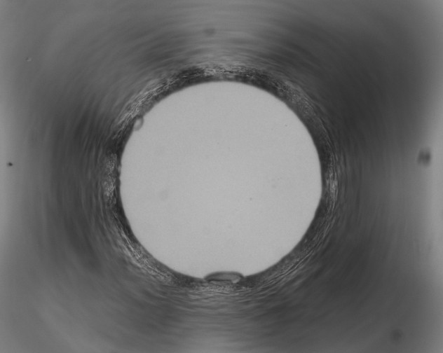 X0000114701012200912021103