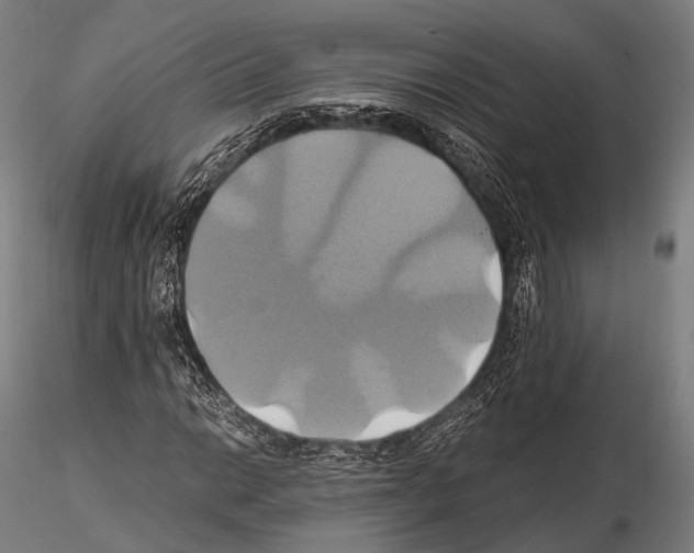 X0000114701014200912021103