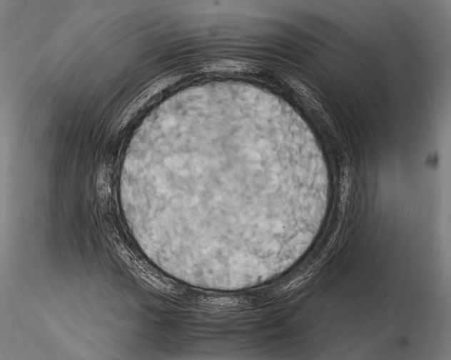 X0000114701017200912021103