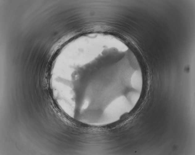 X0000114701018200912021103