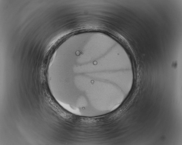 X0000114701019200912021103