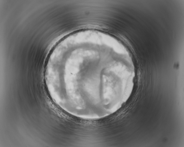 X0000114701020200912021103