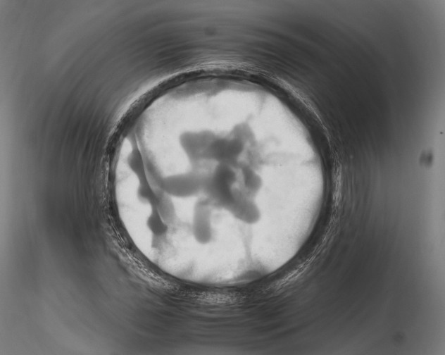 X0000114701021200912021103