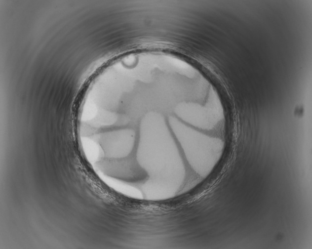 X0000114701022200912021103