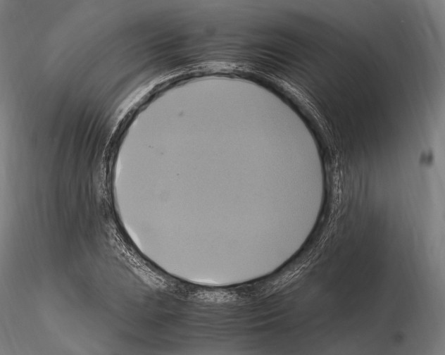 X0000114701023200912021103