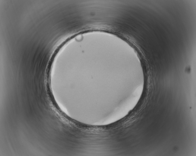 X0000114701024200912021103