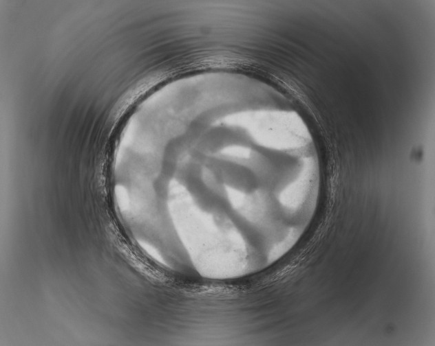 X0000114701026200912021103