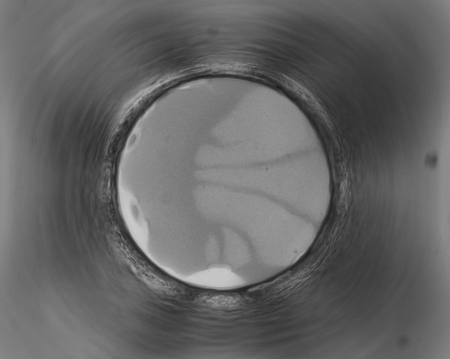 X0000114701027200912021103