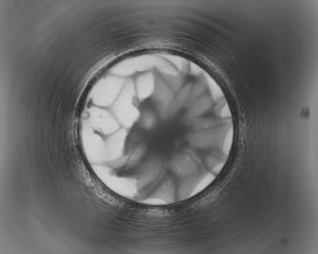 X0000114701029200912021103