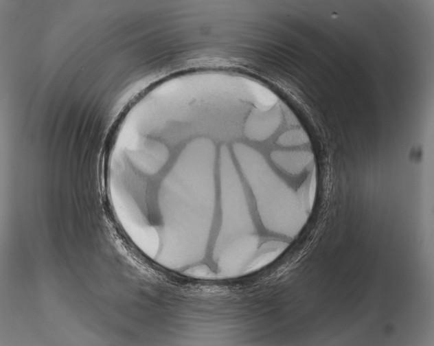 X0000114701030200912021103