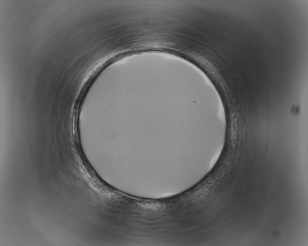 X0000114701031200912021103