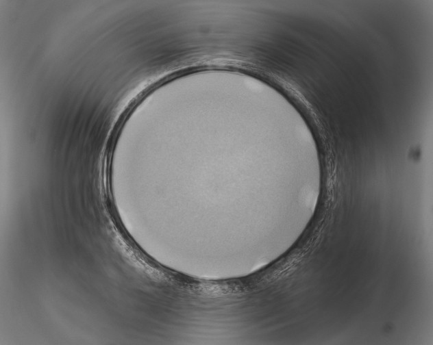 X0000114701032200912021103