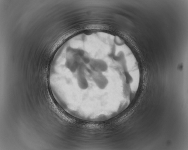 X0000114701033200912021103