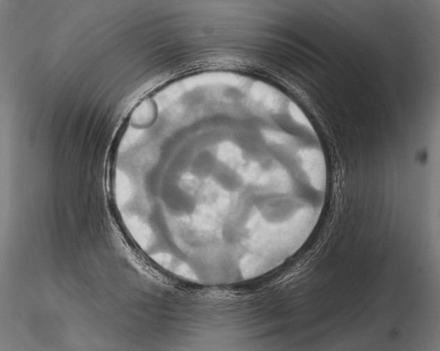 X0000114701034200912021103