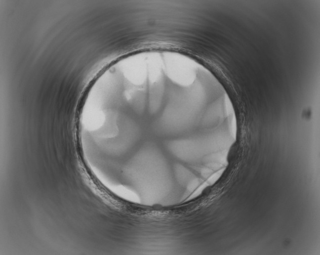 X0000114701038200912021103