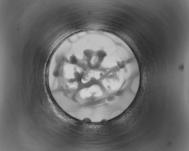 X0000114701039200912021103