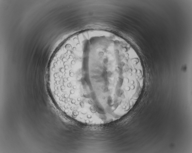 X0000114701040200912021103