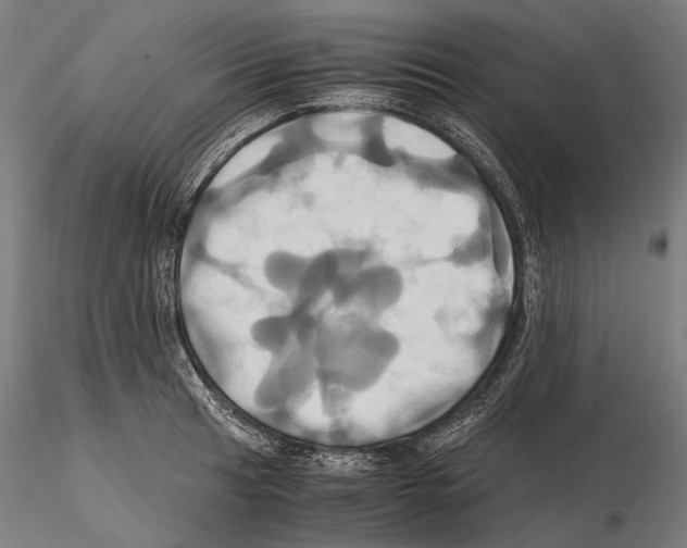 X0000114701041200912021103