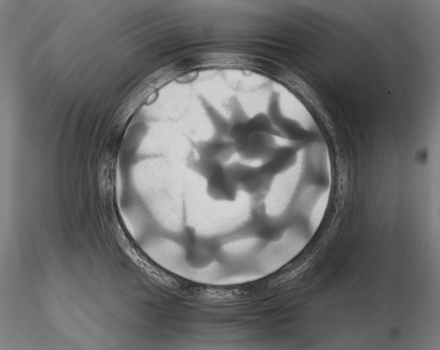 X0000114701049200912021104