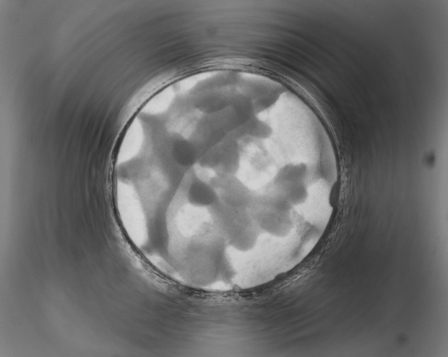 X0000114701050200912021104