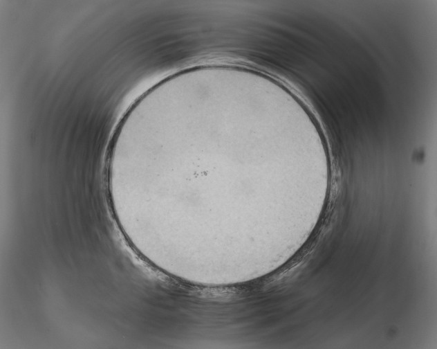 X0000114701053200912021104