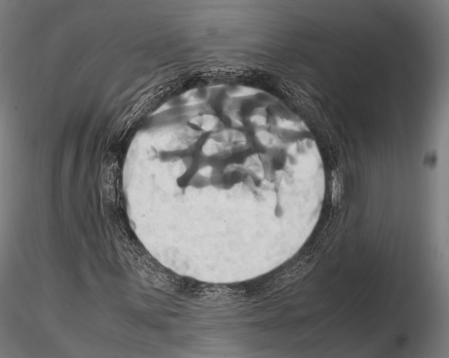 X0000114701059200912021103