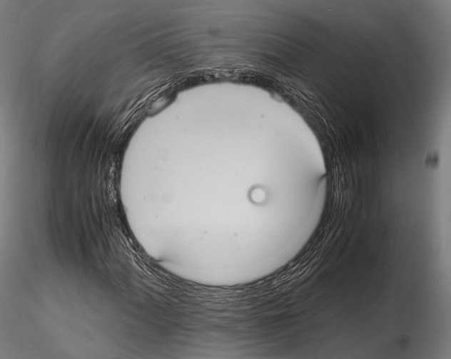 X0000114701060200912021103