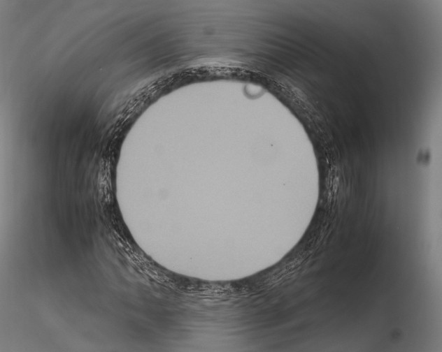 X0000114701062200912021103