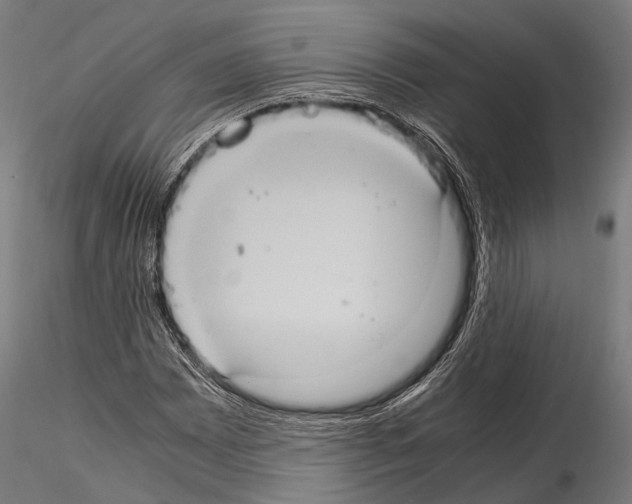 X0000114701065200912021103