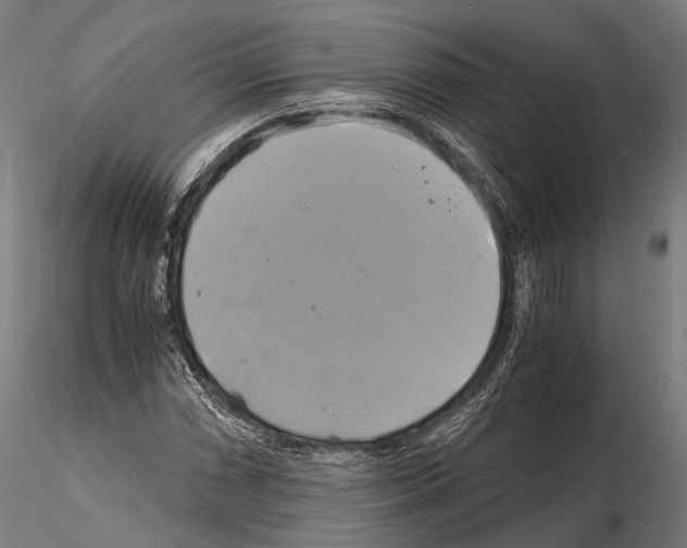 X0000114701066200912021103