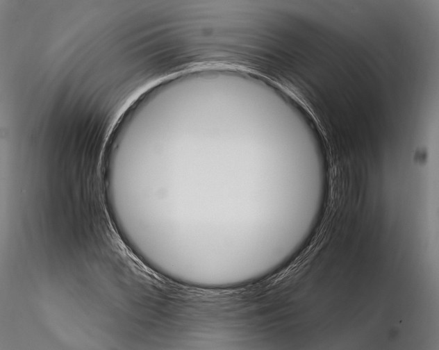 X0000114701068200912021103