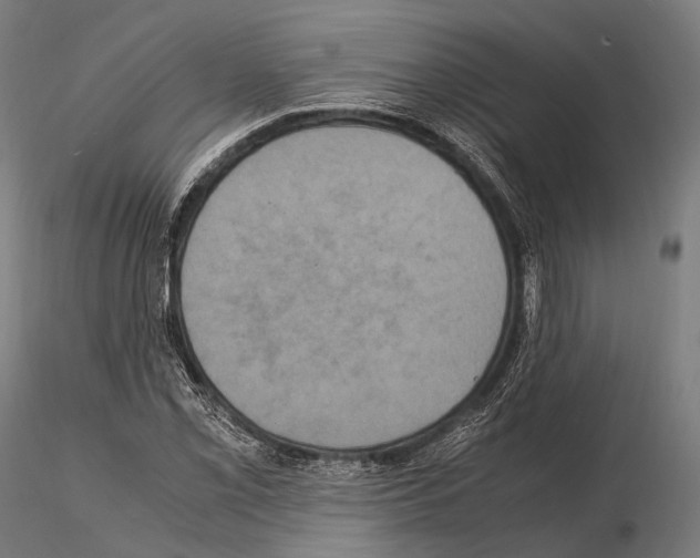 X0000114701069200912021103