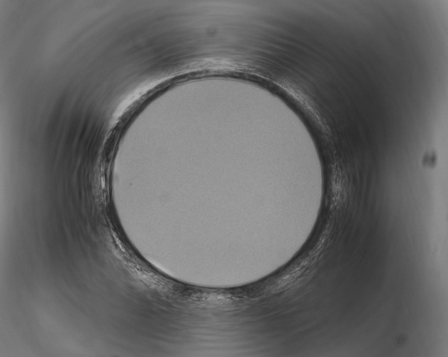 X0000114701070200912021103