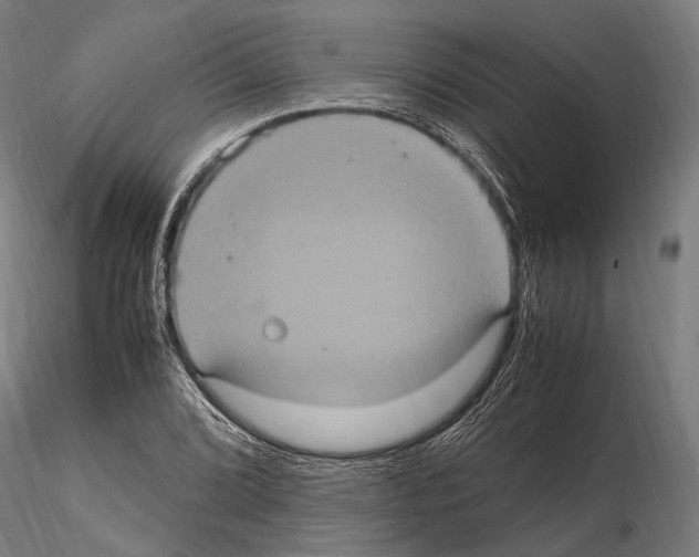 X0000114701072200912021103