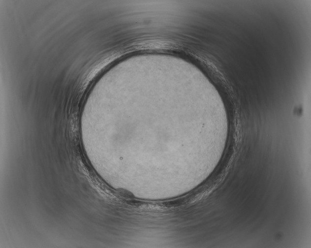 X0000114701073200912021103