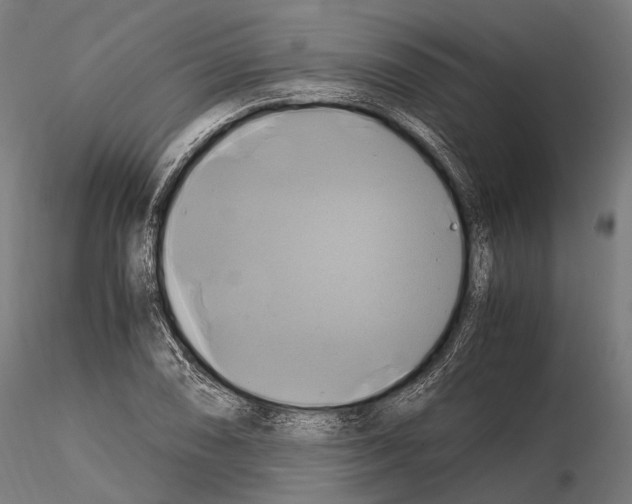 X0000114701074200912021103