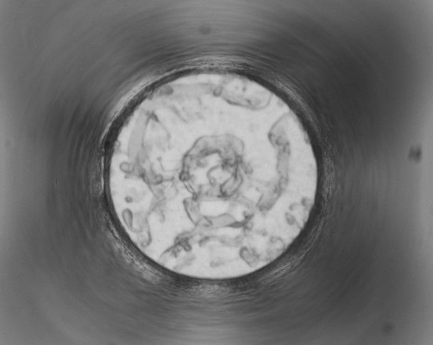 X0000114701075200912021103