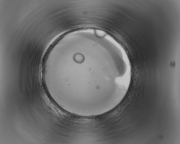 X0000114701076200912021103