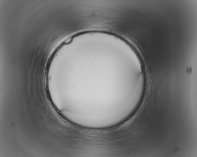 X0000114701077200912021103