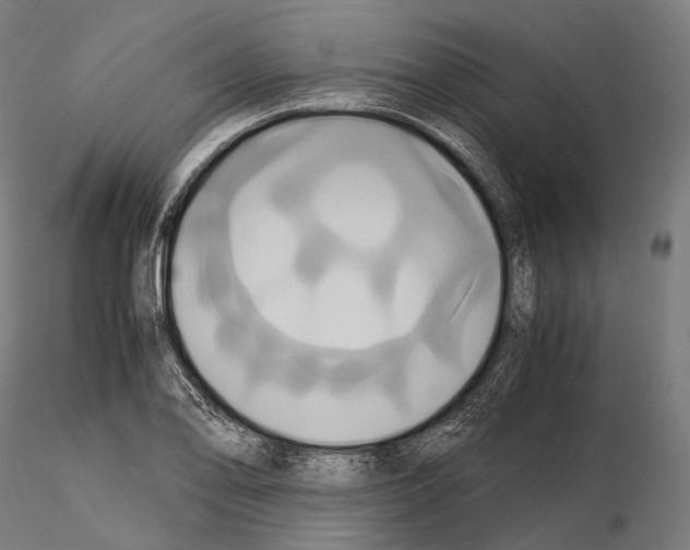 X0000114701078200912021103