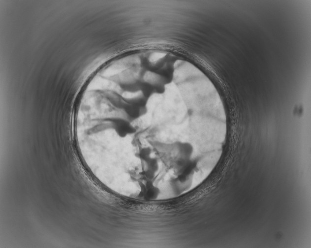 X0000114701079200912021103