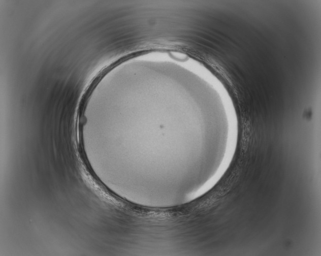 X0000114701080200912021103