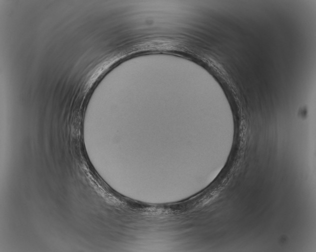 X0000114701081200912021103