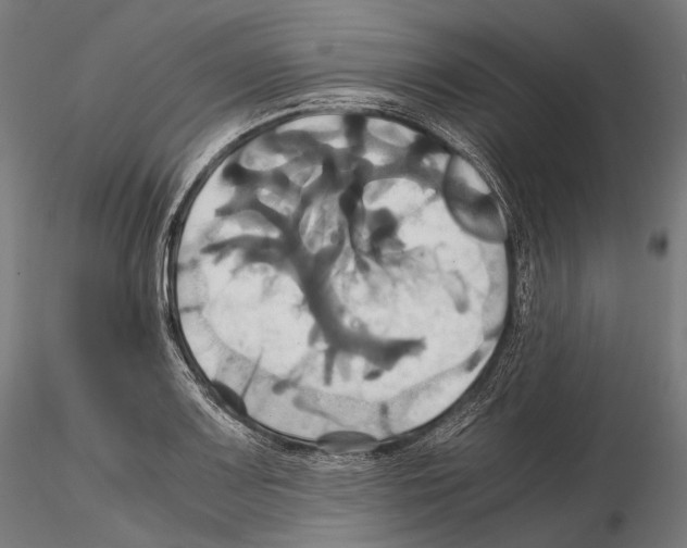 X0000114701083200912021103