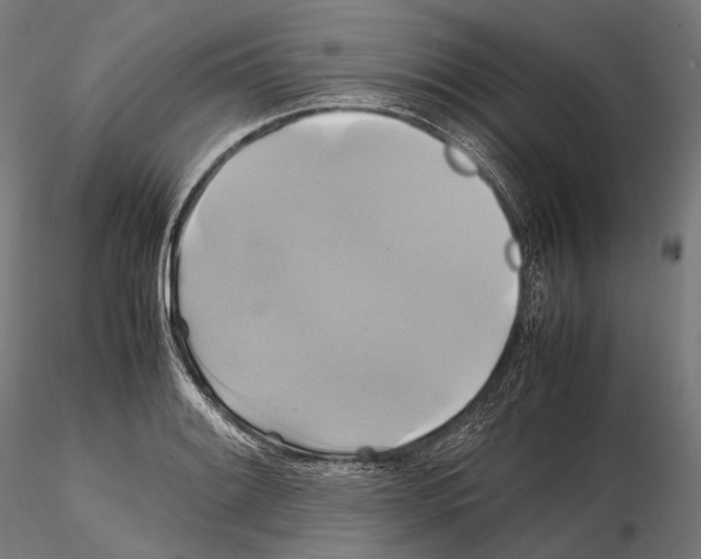 X0000114701084200912021103