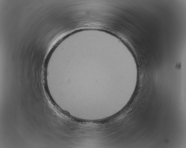 X0000114701085200912021103