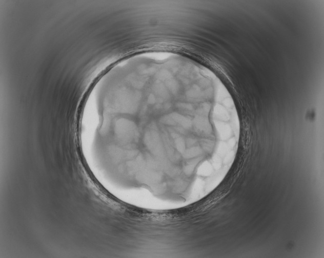 X0000114701087200912021103