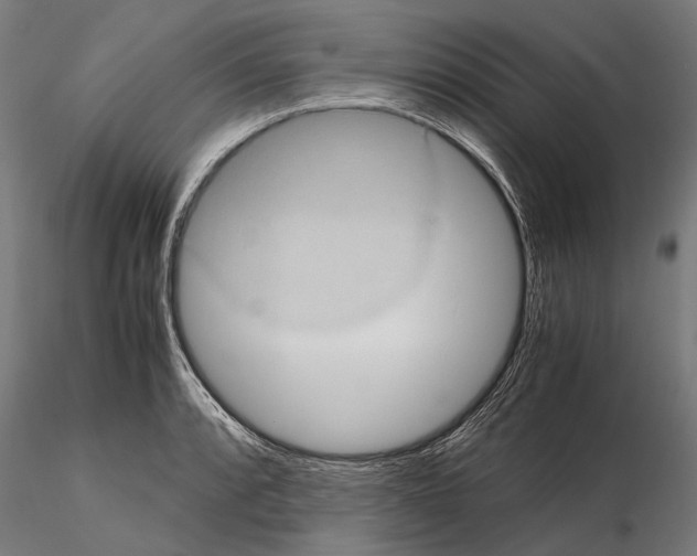 X0000114701088200912021103