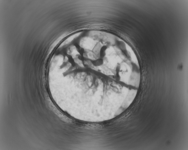 X0000114701091200912021103